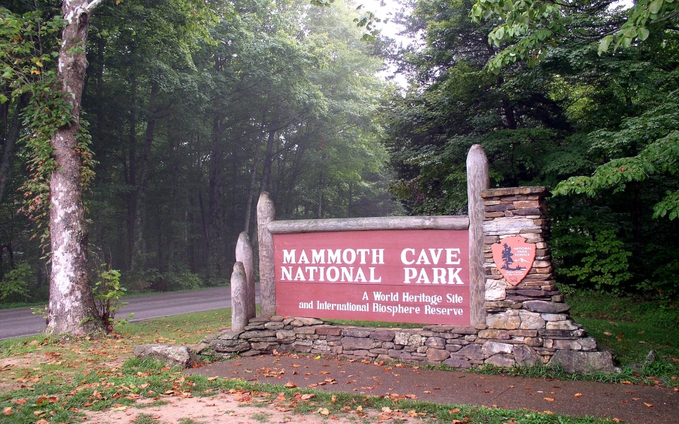 Download Mammoth Cave National Park Free Wallpapers for Mobile Phones wallpaper