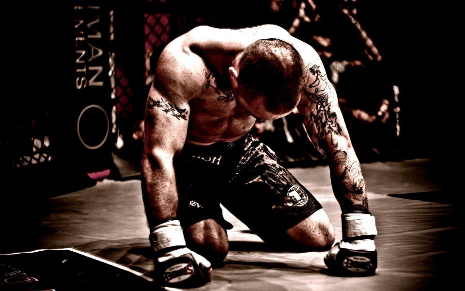 Download Mixed Martial Arts Download HD 1080x2280 Wallpapers Best Collection wallpaper
