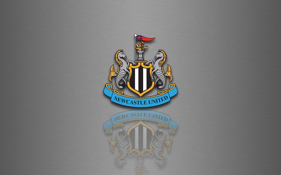Download Newcastle United iPhone 11 Back Wallpaper in 4K 5K wallpaper