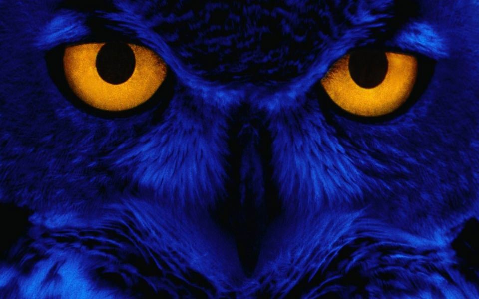 night owl 4k ultra hd hybrid