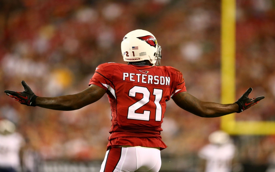 Download Patrick Peterson Download HD 1080x2280 Wallpapers Best Collection wallpaper