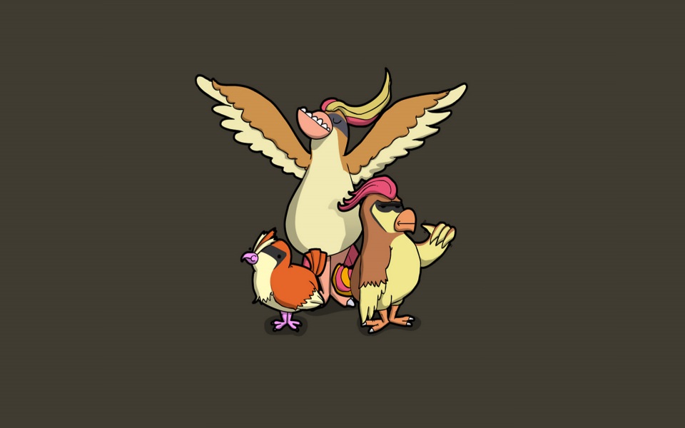 Download Pidgey 4K Background Pictures In High Quality wallpaper