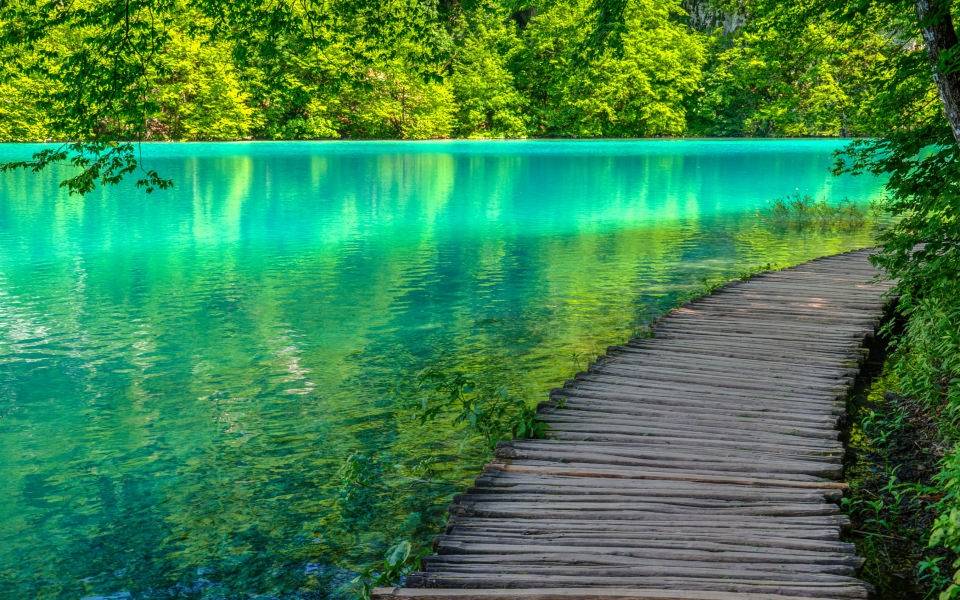 Download Plitvice Lakes National Park iPhone 11 Back Wallpaper in 4K 5K wallpaper
