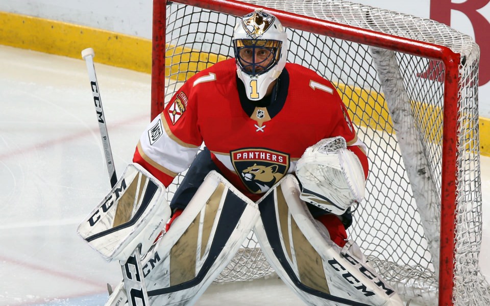 Download Roberto Luongo Live Free HD Pics for Mobile Phones PC wallpaper