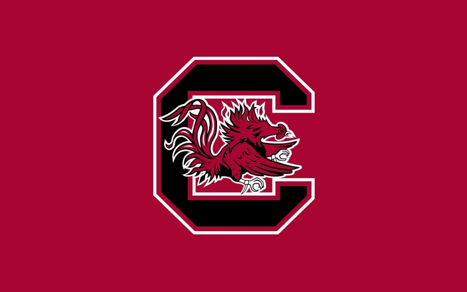 Download South Carolina State Flag Live Free HD Pics for Mobile Phones PC wallpaper