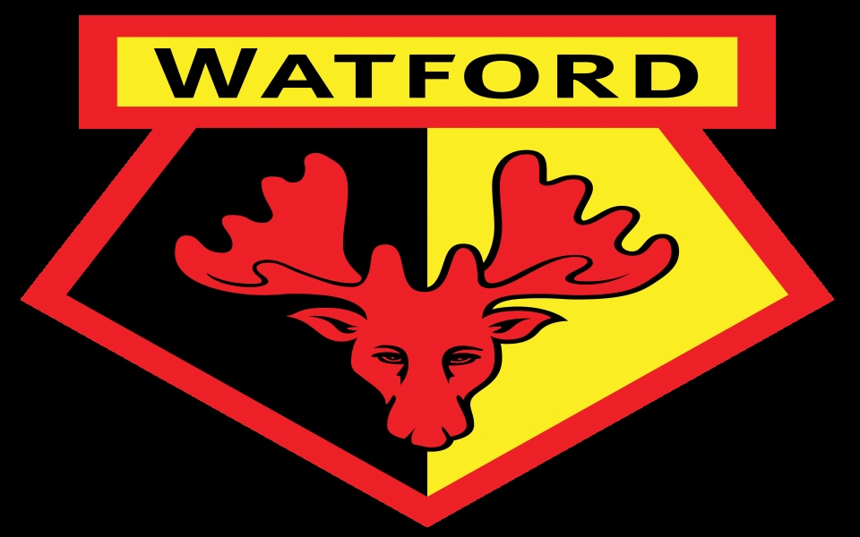Download Watford F.C Desktop Backgrounds for Windows 10 wallpaper