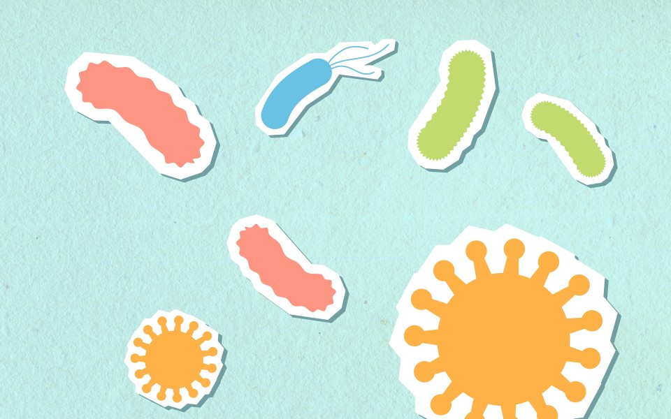 Download Bacteria Germs wallpaper