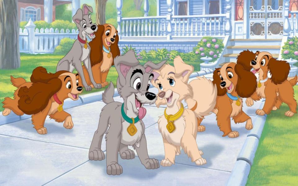 Download Lady And The Tramp II Scamp's Adventure 4K Phone Background wallpaper