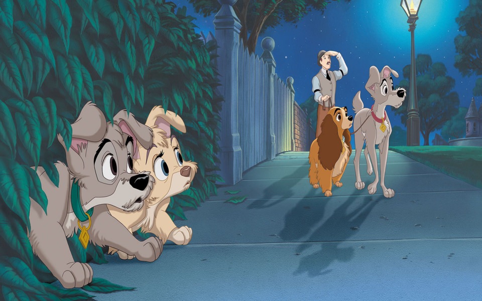 Download WhatsApp DP Lady And The Tramp II Scamp's Adventure Status for phones wallpaper