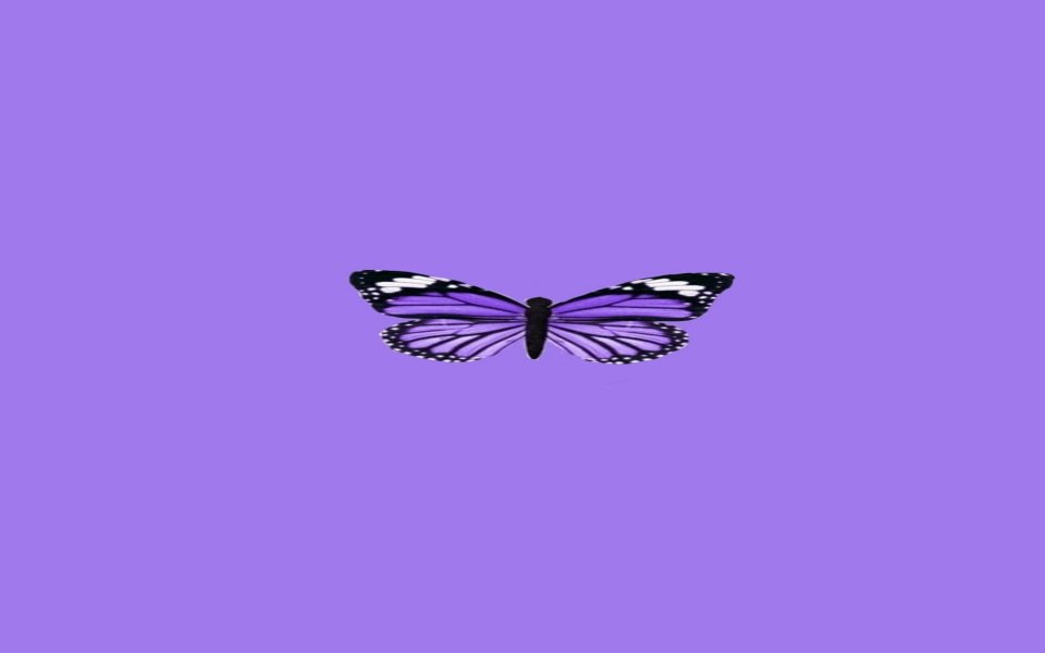 Download Aesthetic Purple Butterfly In 3D wallpaper