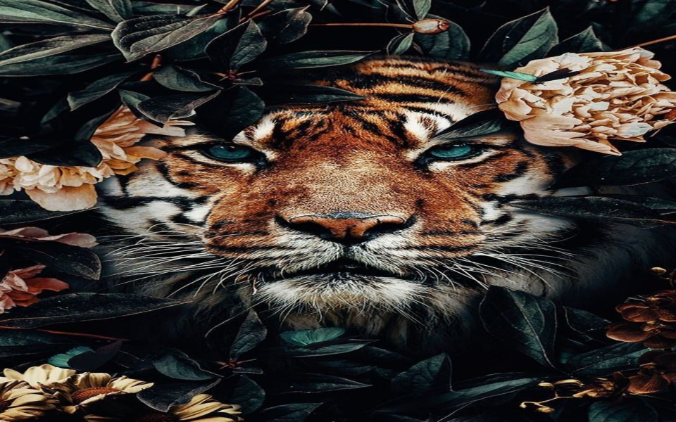 Download Cheetah Realistic 3D Art Wallpapers wallpaper