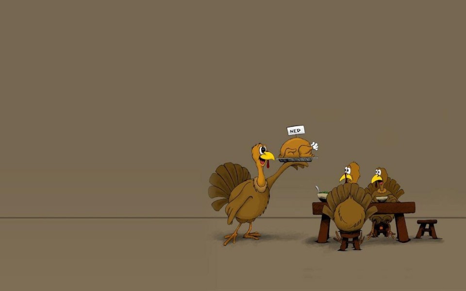 Download Funny Thanksgiving Wallpapers wallpaper