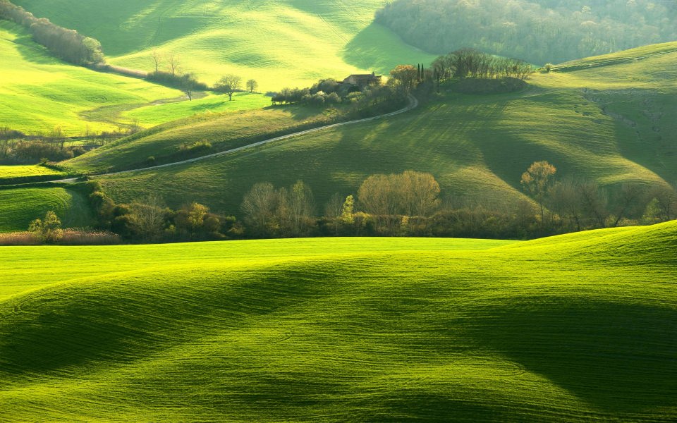 Download Green Nature 4K iPhone wallpaper
