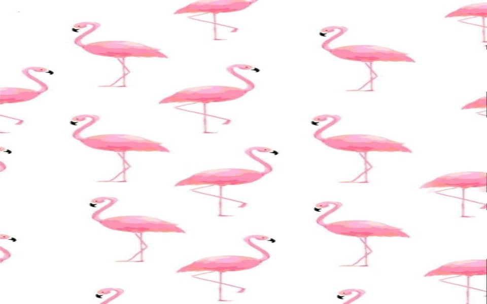 Download Cute Flamingos Collage wallpaper