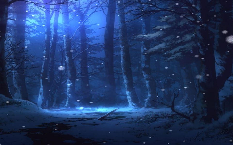 Download Snowing in The Forest in 8K 10K 20K 30K in 1080p wallpaper