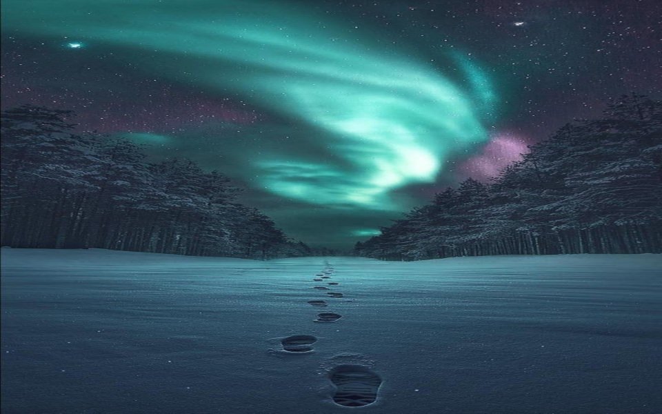 Download The Northern Lights Footprints on Snow wallpaper