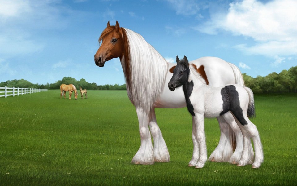Download Beautiful White Horse And Pony 2022 Live 4k 1080x1920 2560x1700 Best 4k 8k 50k 70k 100k wallpaper