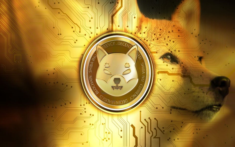 Download Free Shiba Inu crypto coin Photos Wallpapers 4K background PC, laptop, iPhone, iPhone x, iPhone xs wallpaper