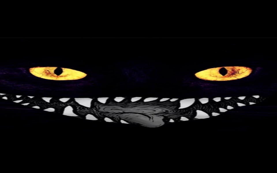 Download Black Cat Eyes 1080P, 2K, 4K, 5K HD 4k wallpapers wallpaper
