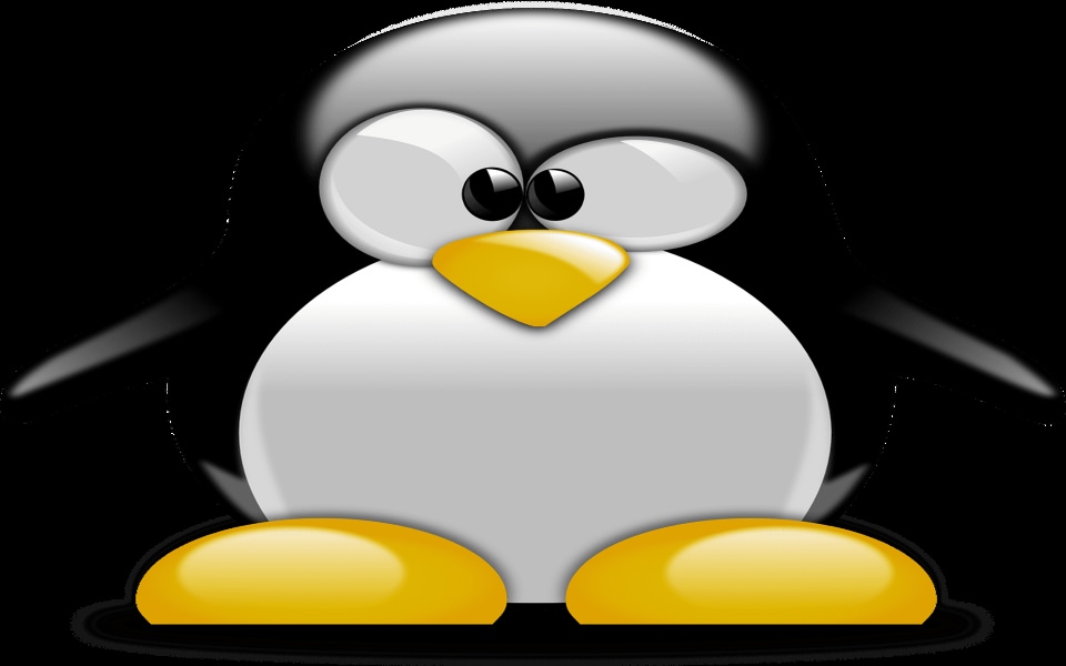 Download Linux Unix Penguin Wallpapers 4K wallpaper