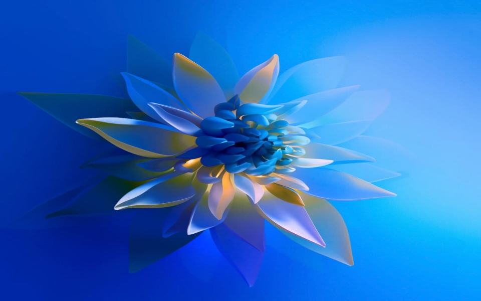 Download Blue Flower 8K Wallpaper wallpaper