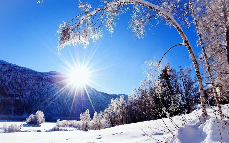 Download Sun During Snow 4K HDQ wallpaper