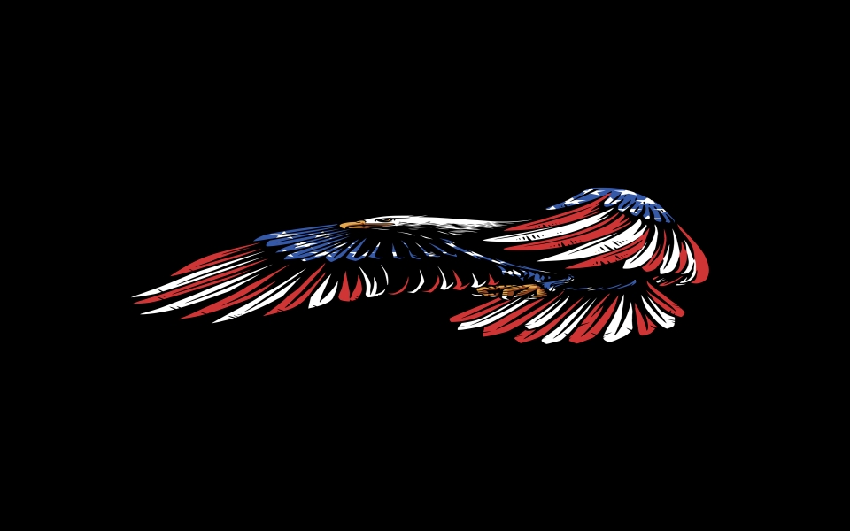 Download iPhone USA Flag Eagle Wallpaper Black Background wallpaper