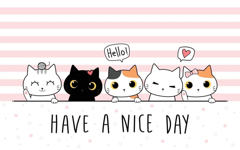 Download Cute Kitten Wallpapers wallpaper