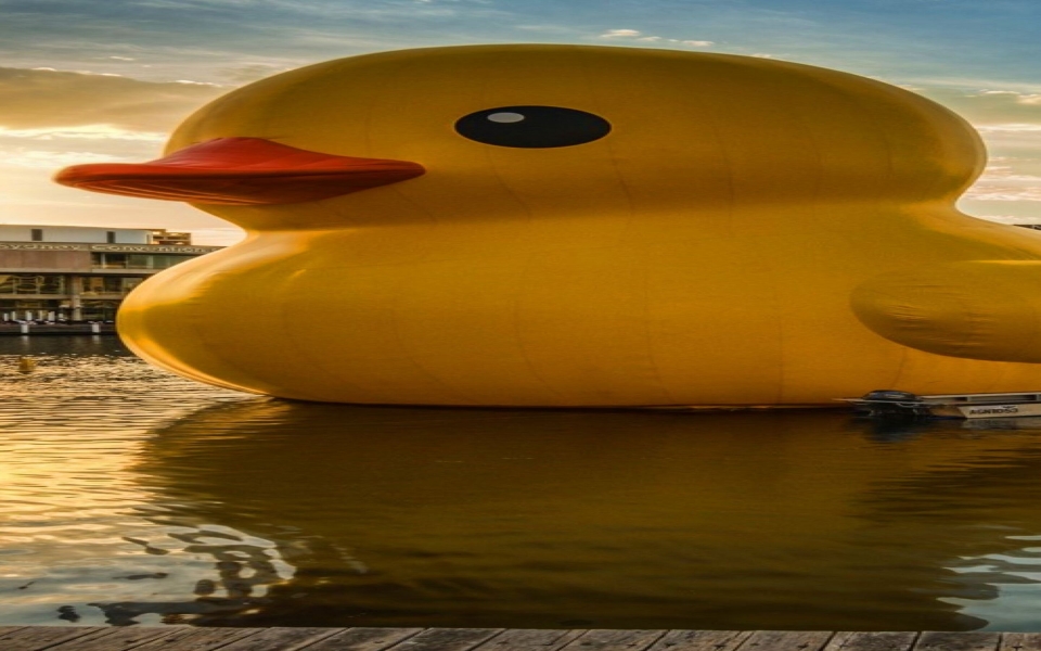Download Giant Rubber Duck iPhone Background 11K, 12K and 20K wallpaper