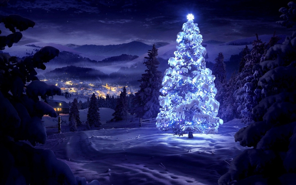 Download HD Wallpaper: Christmas Tree New Year wallpaper