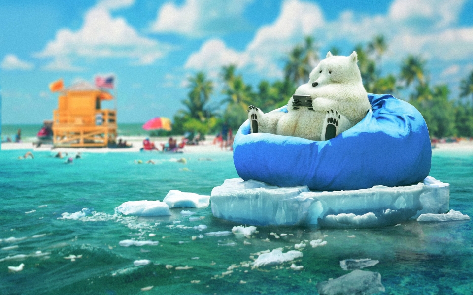 Download Beach Bear with a Phone HD Wallpaper for laptop wallpaper
