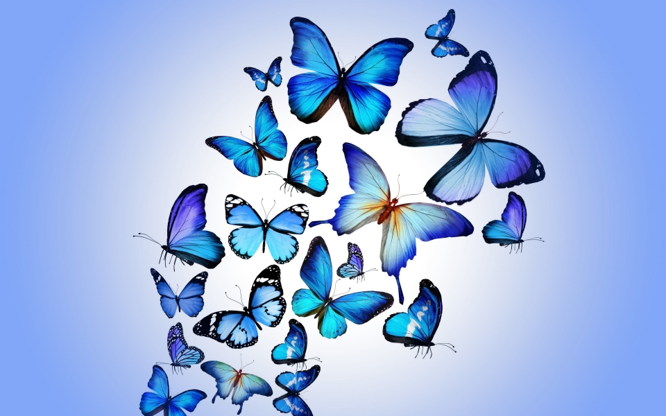 Download Butterfly Art, butterfly, artist, digital-art, HD wallpaper for iphone wallpaper