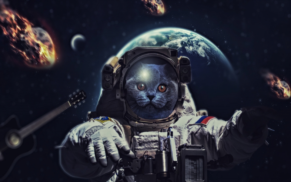 Download Cat in Space Whimsical Artwork for Your HD Wallpaper wallpaper