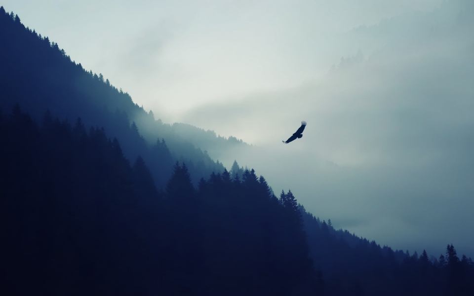 Download Eagle Over the Mountain HD Wallpaper for pc wallpaper