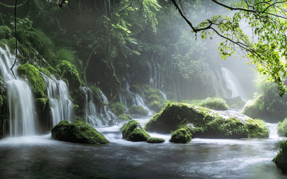 Download Jungle Paradise with Free Ultra HD Nature Wallpaper Collection wallpaper