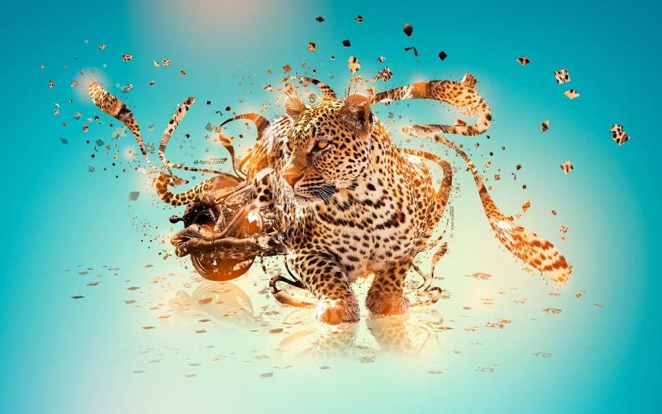 Download Leopard 3D Art on Motorcycles HD Desktop Wallpapers 1080p wallpaper