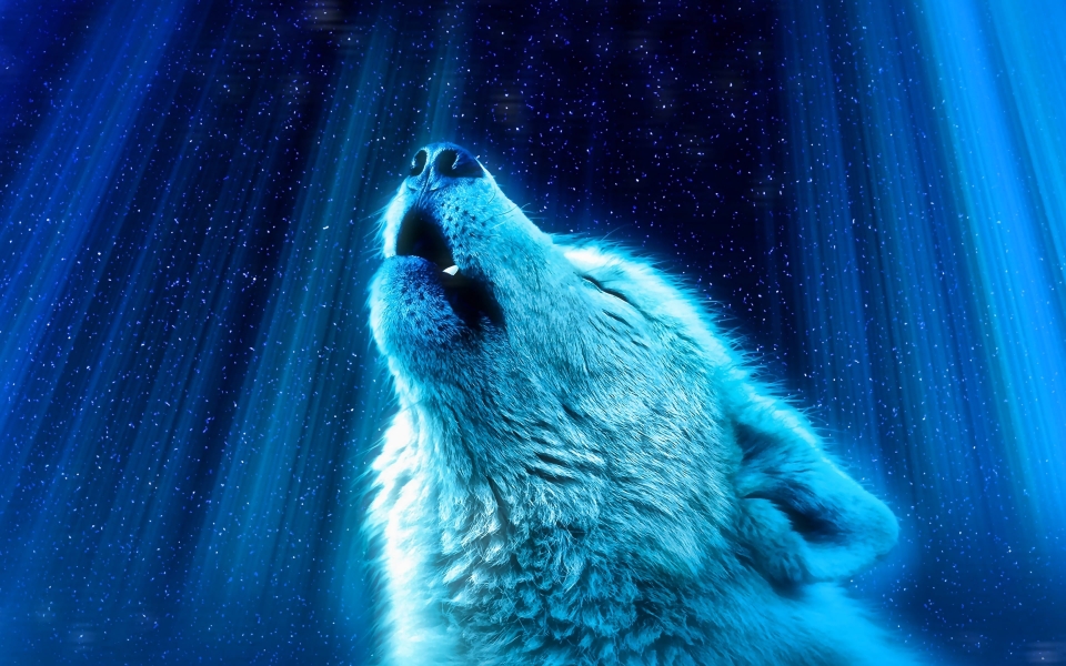 Download White Wolf at Night HD Wallpaper of a Majestic Predator wallpaper