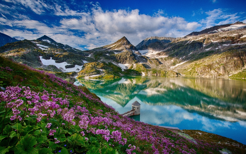 Download Austria Blue Lake and Alps Mountains in Summer Beautiful Nature HD Wallpaper wallpaper