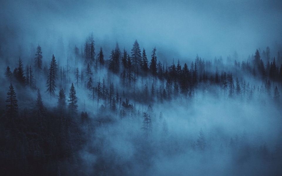 Download Dark Woods Aesthetic HD Wallpaper Featuring Yosemite National Park wallpaper