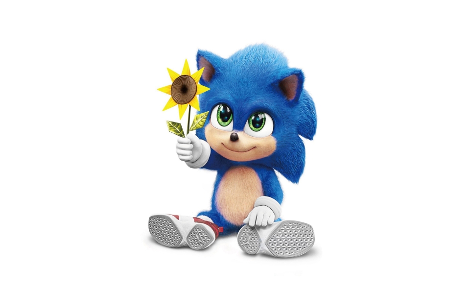 Download Minimalist Sonic and Shadow with Flower HD Wallpaper wallpaper