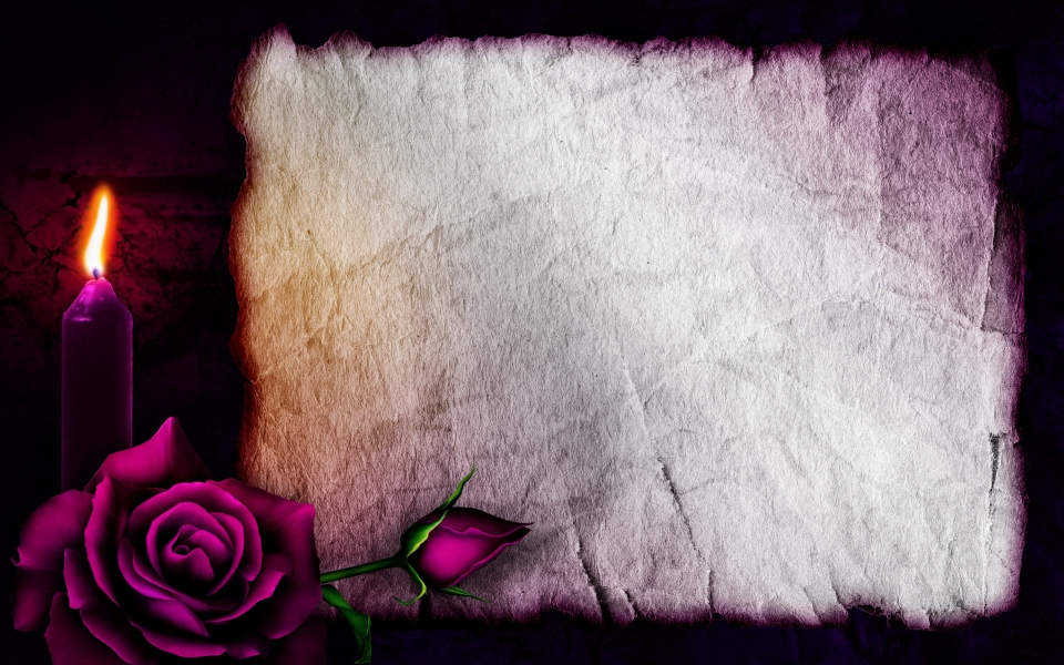 Download Old Blank Paper Macro Candle Purple Rose HD Wallpaper wallpaper