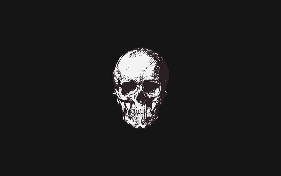 Download White Skull Minimal A Creative and Scary Artwork in HD Wallpaper wallpaper