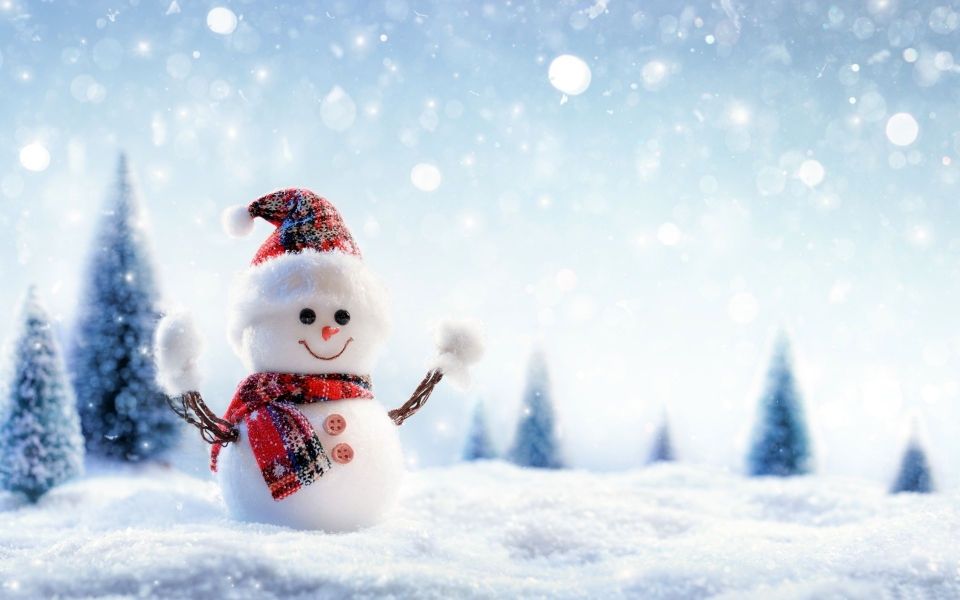 Download Winter Wonderland: Christmas Snowman Crafts and Photography wallpaper