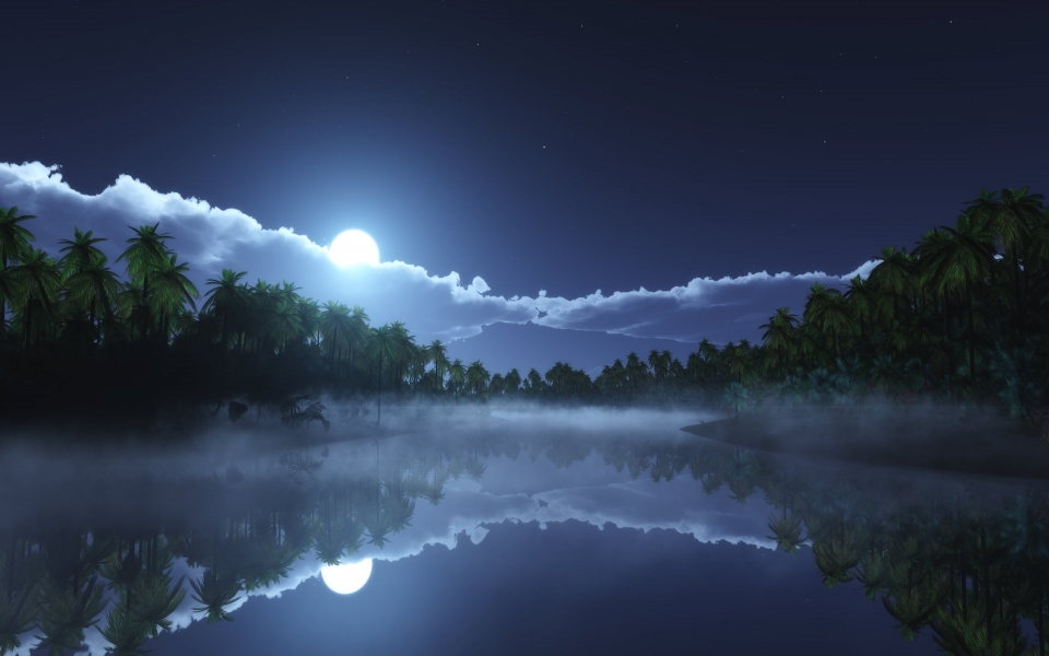 Download Tropic Cold Night Serene Reflections under the Moonlight HD Wallpaper wallpaper