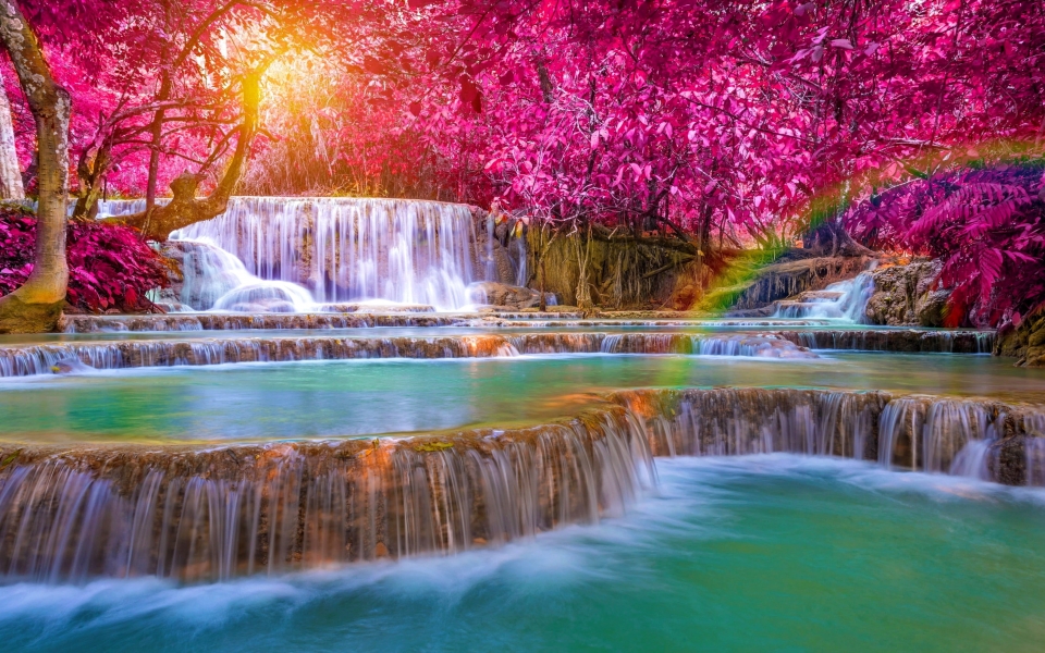 Download Exotic Waterfall in Rainforest Colorful Cascades HD Wallpaper wallpaper