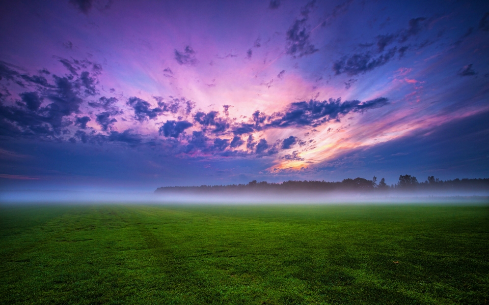 Download Mystical Sunset Green Grass and Fog Under a Purple Sky HD Wallpaper wallpaper