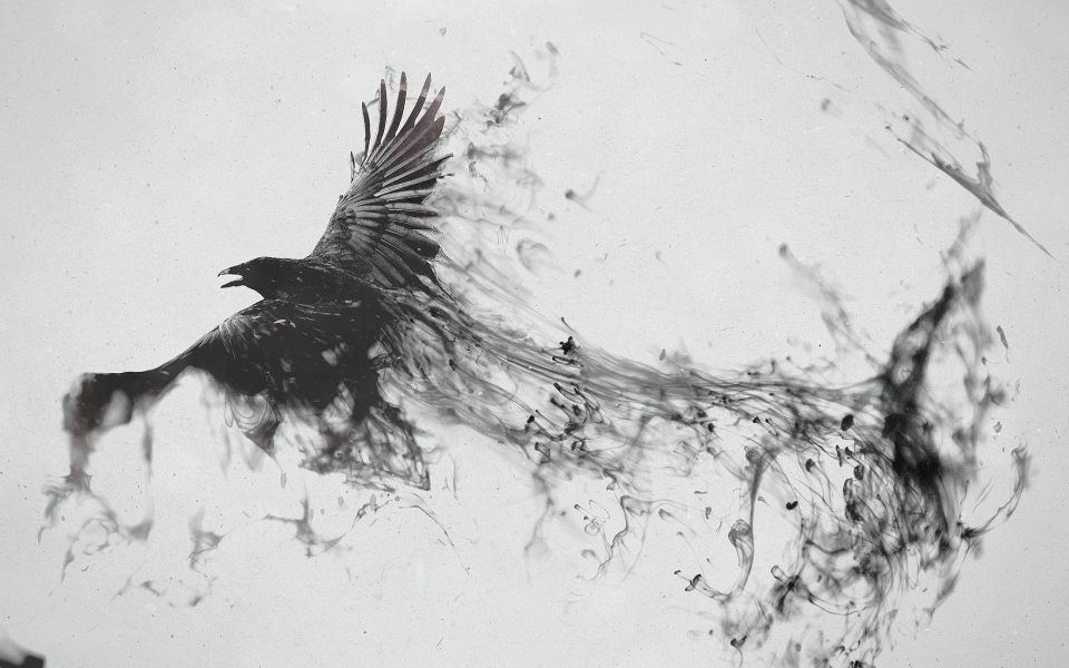 Download Raven Bird Art Majestic Avian Beauty HD Wallpaper wallpaper