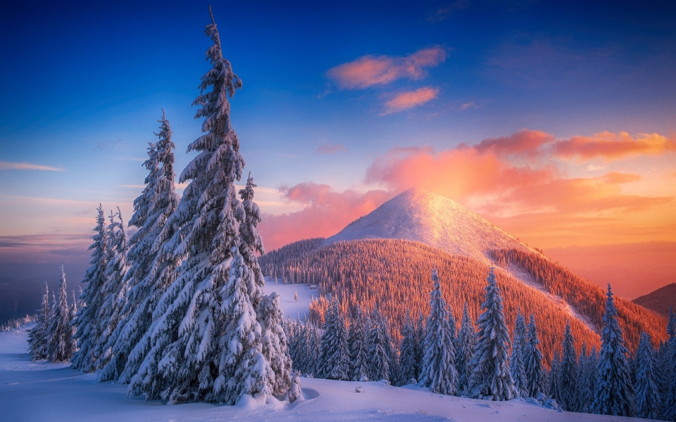 Download Snowy Pine Trees and Mountains Majestic Nature's Winter Wonderland HD Wallpaper wallpaper