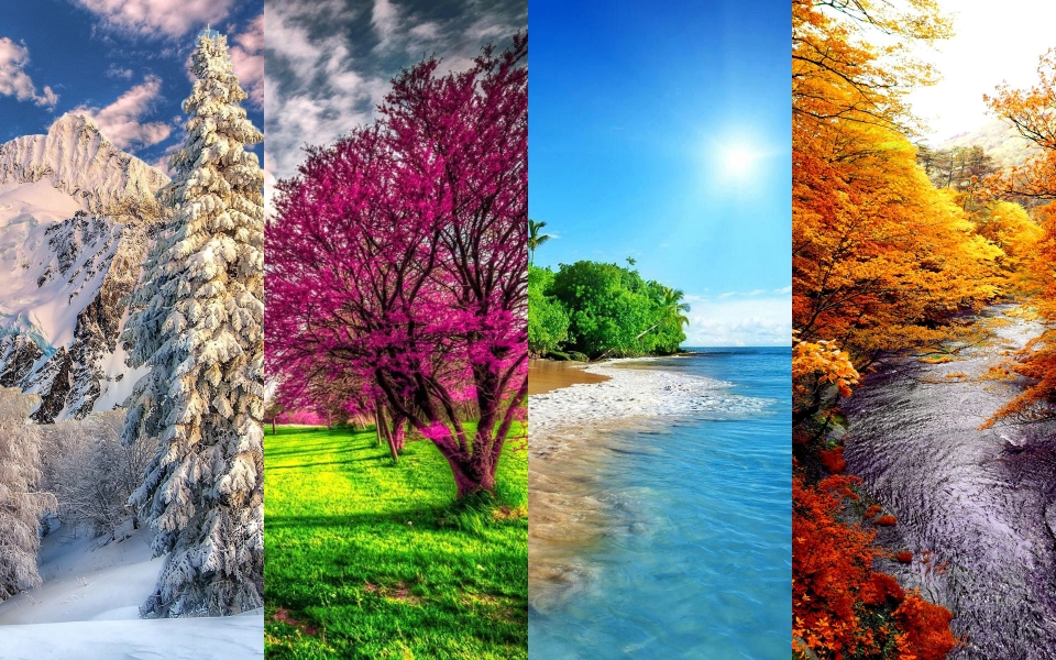 Download Captivating Seasons Winter Spring Summer Autumn HD Wallpaper Collection wallpaper