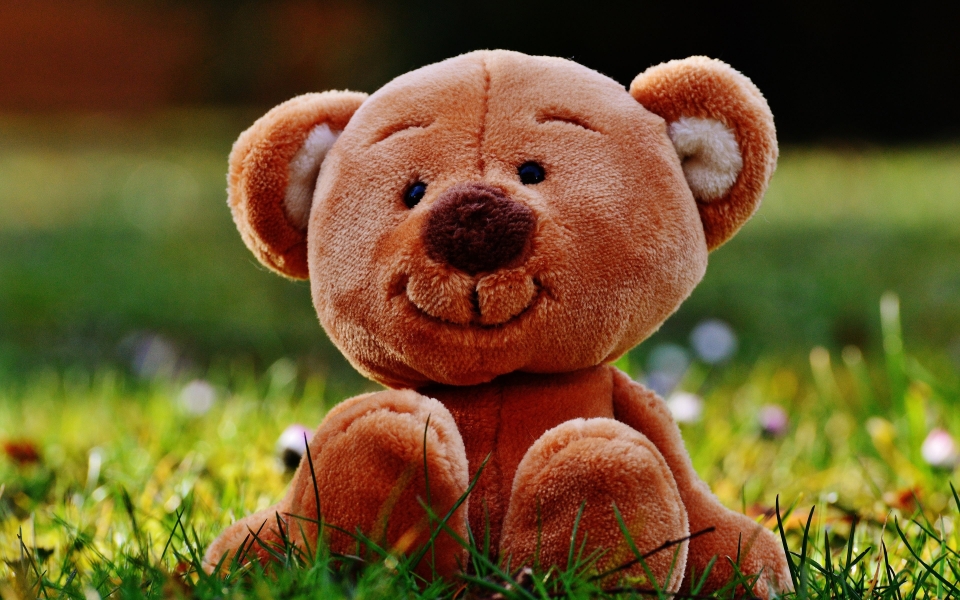 Download Cuddly Companions Teddy Bear Toy HD Wallpaper wallpaper